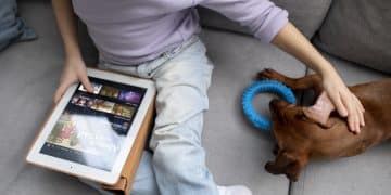 Shein pet supplies