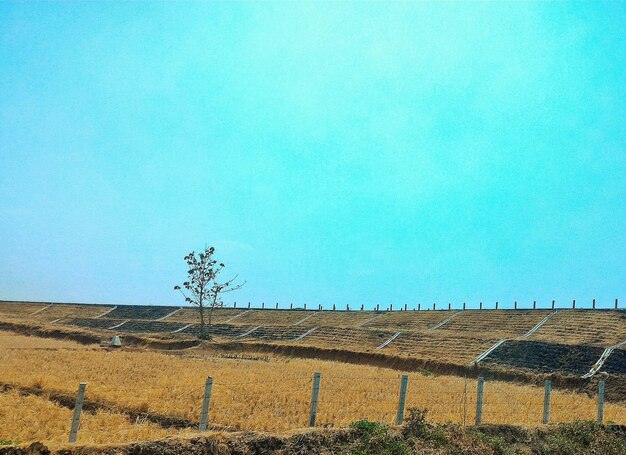 Solar panel farm stretching across a rural landscape under a bright blue sky. The panels are uniformly aligned and angled to maximize sunlight capture.